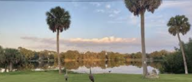 Enjoy a photo booth at Apopka park for a birthday party